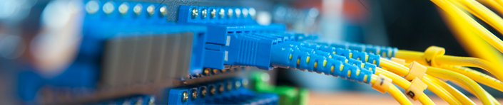 多样化的服务选择