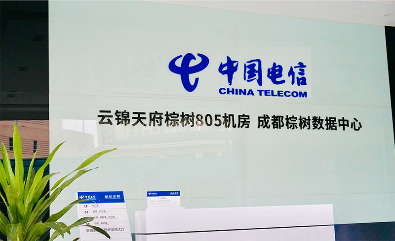 成都棕树805数据中心