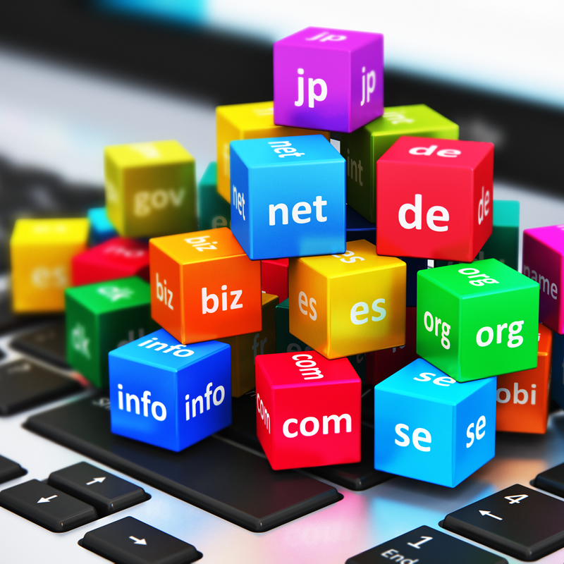 高收录域名是什么？如何判断一个域名的收录情况高低