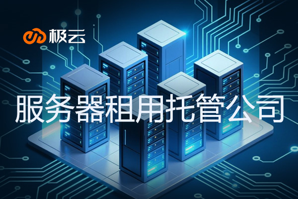 服务器租用托管公司：企业高效稳定的云端之选