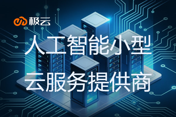 人工智能小型云服务提供商 - IDC行业新势力崛起